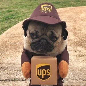 Meet your Posher, Torynn